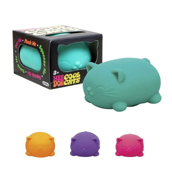 Schylling NeeDoh Fidget Toy